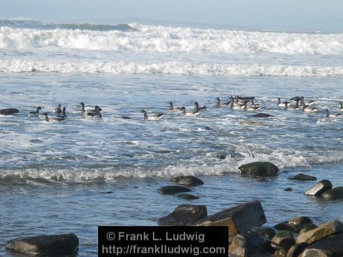 Strandhill